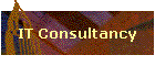 IT Consultancy